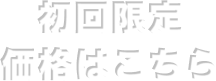 初回限定価格はこちら